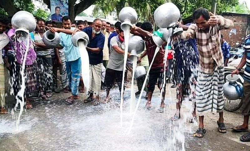 দুধের লিটার ২০ টাকা! মাটিতে ঢেলে দিল খামারিরা